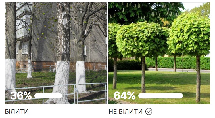 СВЖУ нагадує про заборону побілки дерев і архітектурних форм